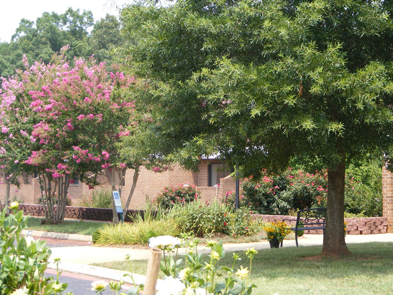 Clemson Downs Clemson Downs Campus